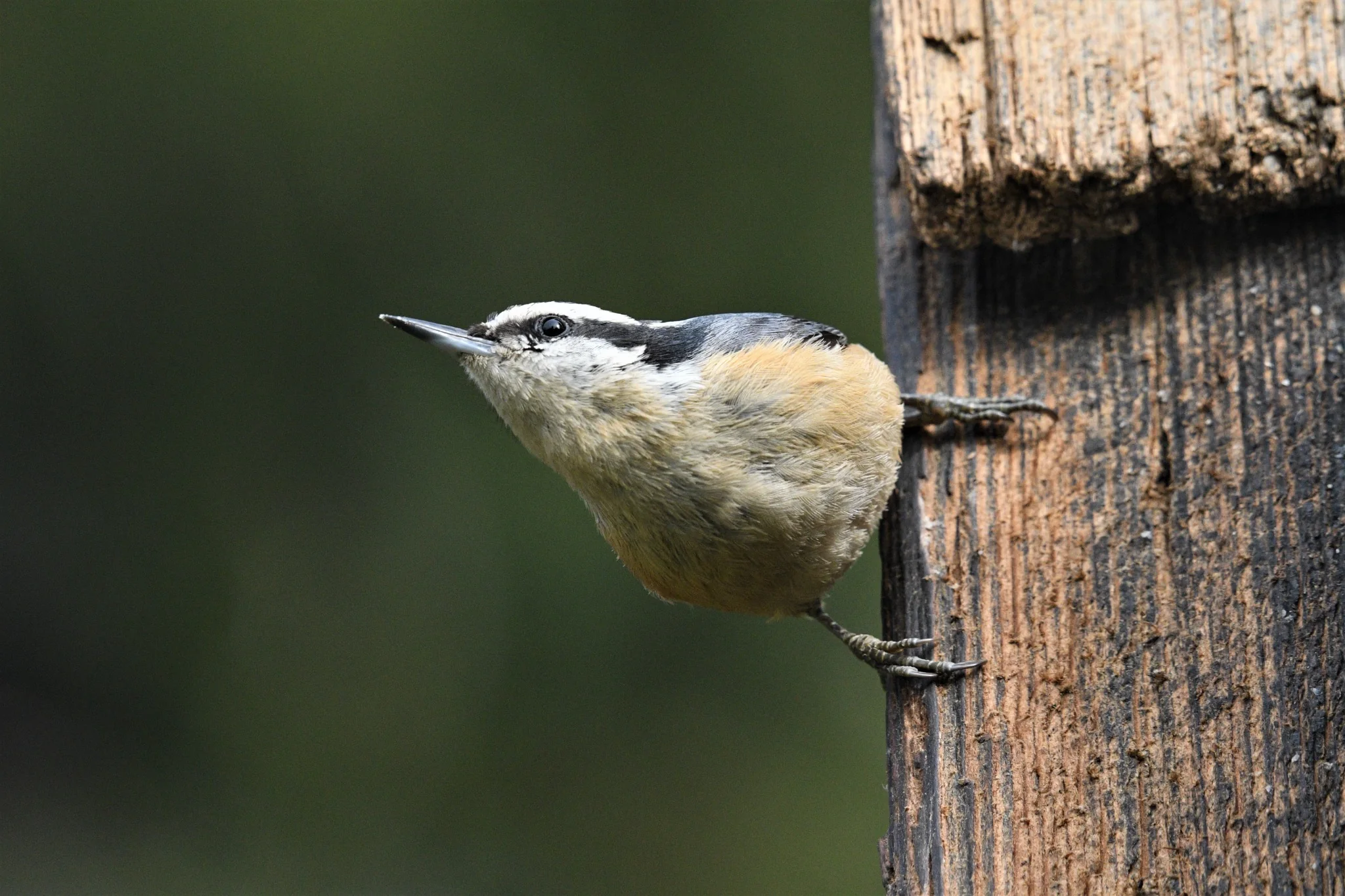 Natuur en milieu